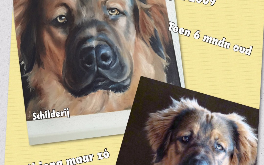 – Gesloten: 9e Goede doelen veiling