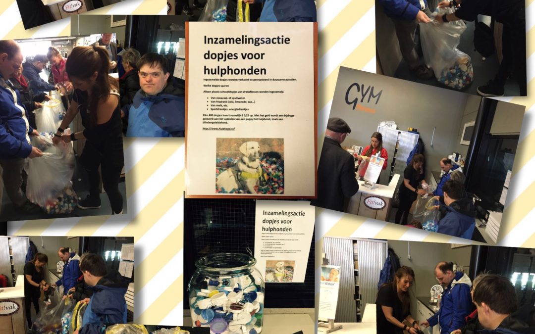 – Inzamelingsactie: Dopjes voor hulphonden