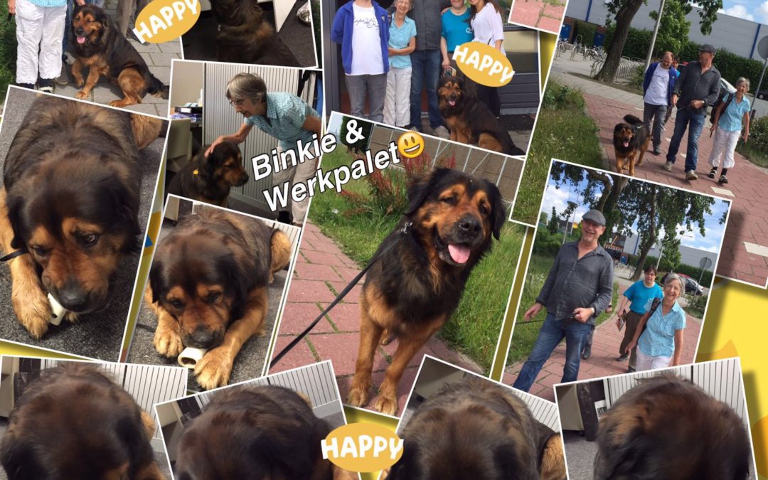 – WerkPalet en Binkie