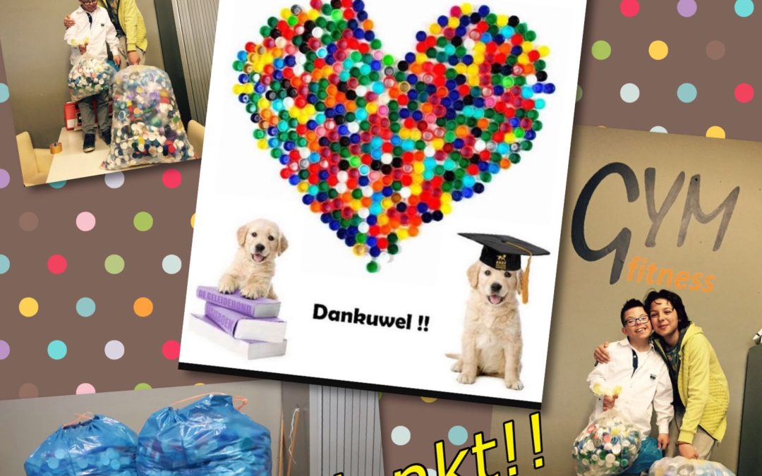 – Doppen voor geleidehonden