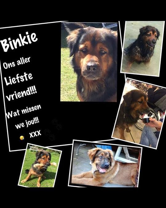 – Verdrietig nieuws: Binkie….
