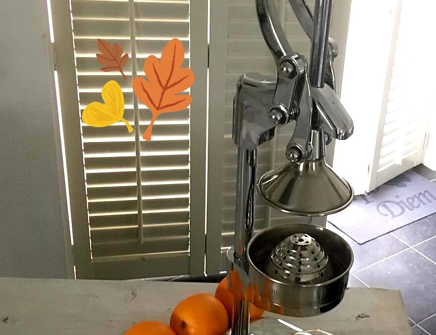 – Gesloten: 28e goede doelen veiling